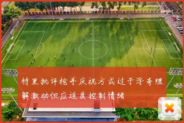 特里批评枪手庆祝方式过于浮夸理解激动但应适度控制情绪