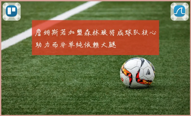 詹姆斯若加盟森林狼将成球队核心助力而非单纯依赖大腿